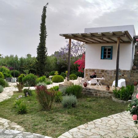 Lemon Tree Cottage ฟีนีคุนตา ภายนอก รูปภาพ