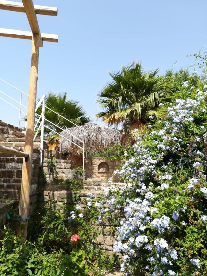 Lemon Tree Cottage ฟีนีคุนตา ภายนอก รูปภาพ