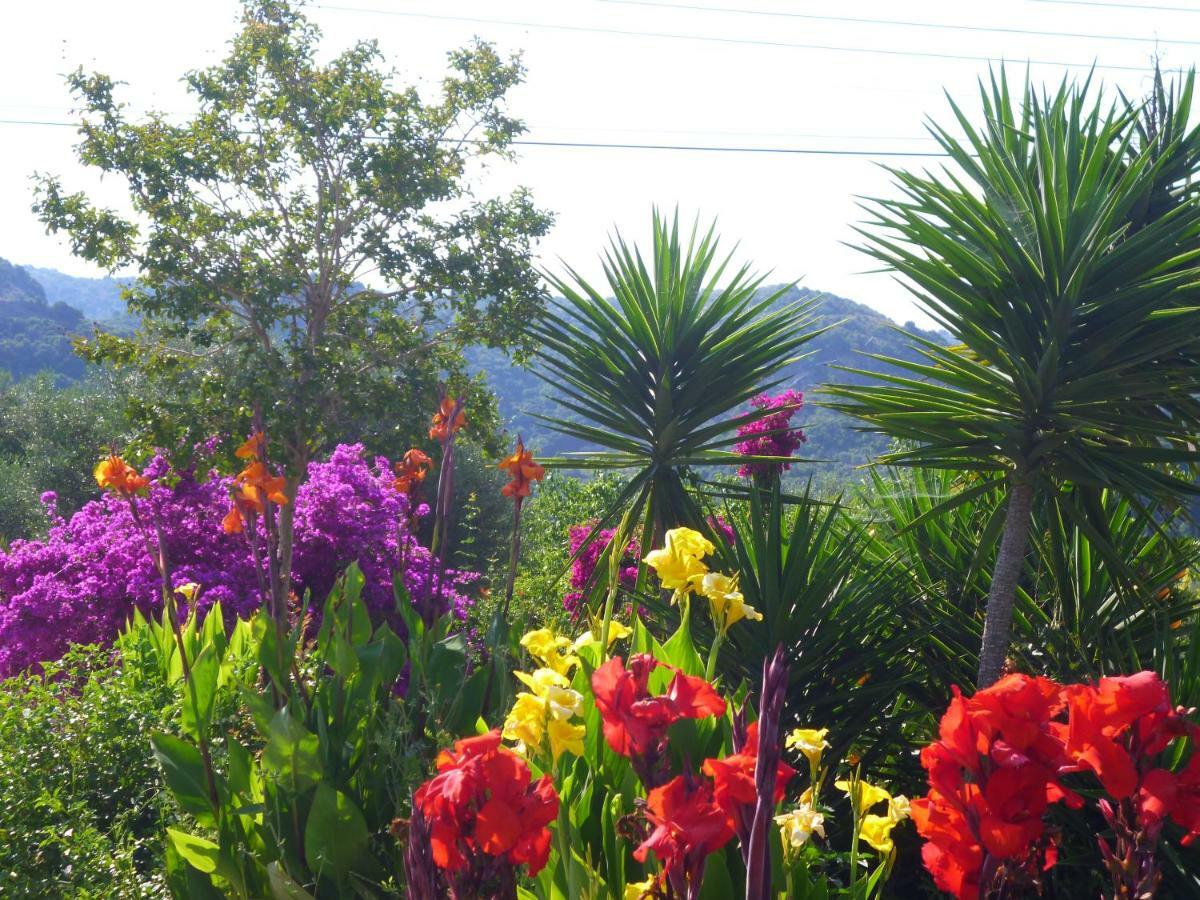 Lemon Tree Cottage ฟีนีคุนตา ภายนอก รูปภาพ